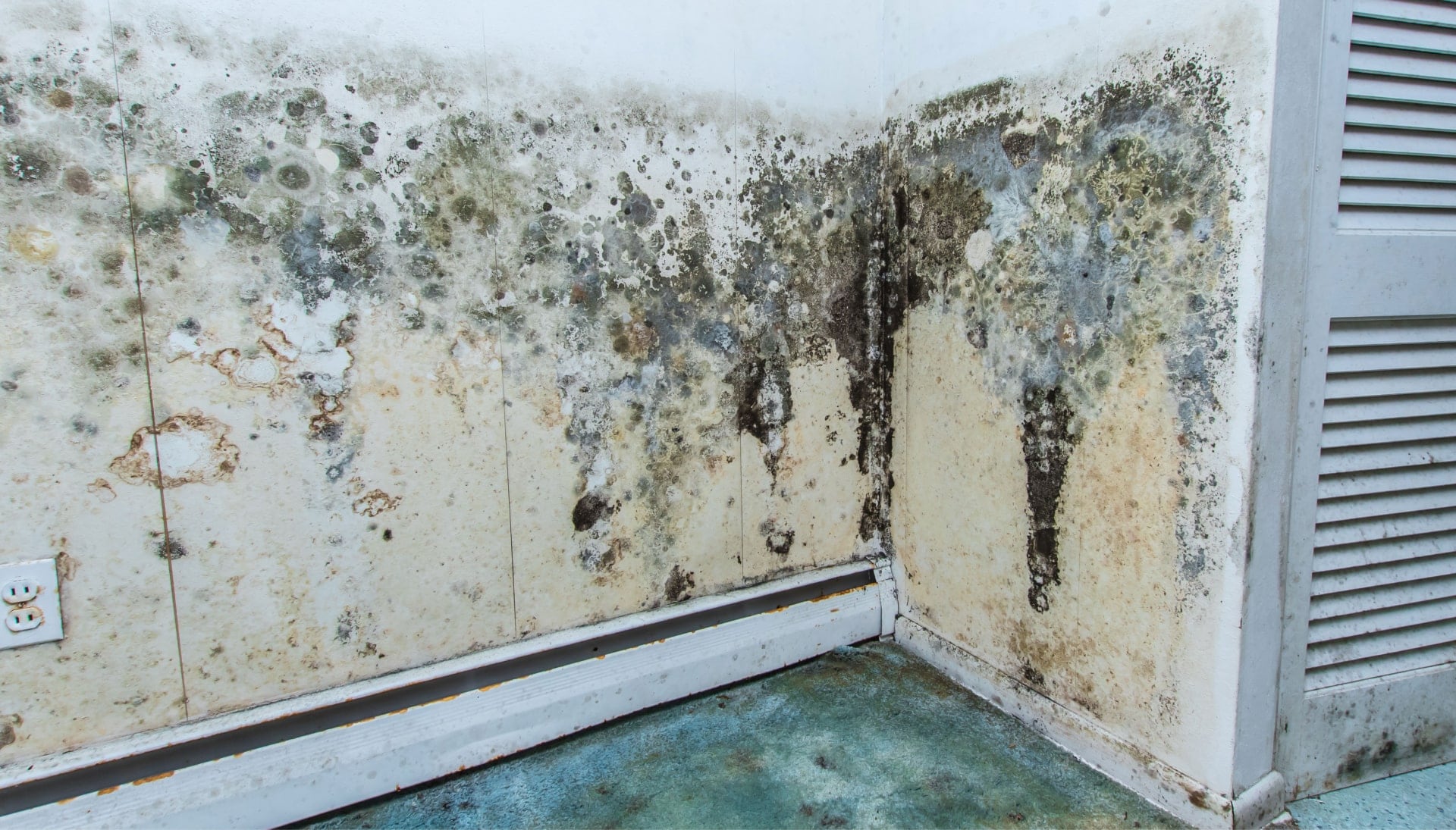 Professional mold removal, odor control, and water damage restoration service in Lexington, Kentucky.