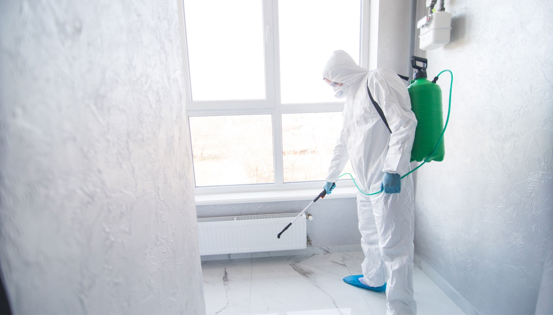 We provide the highest-quality mold inspection, testing, and removal services in the Lexington, Kentucky area.