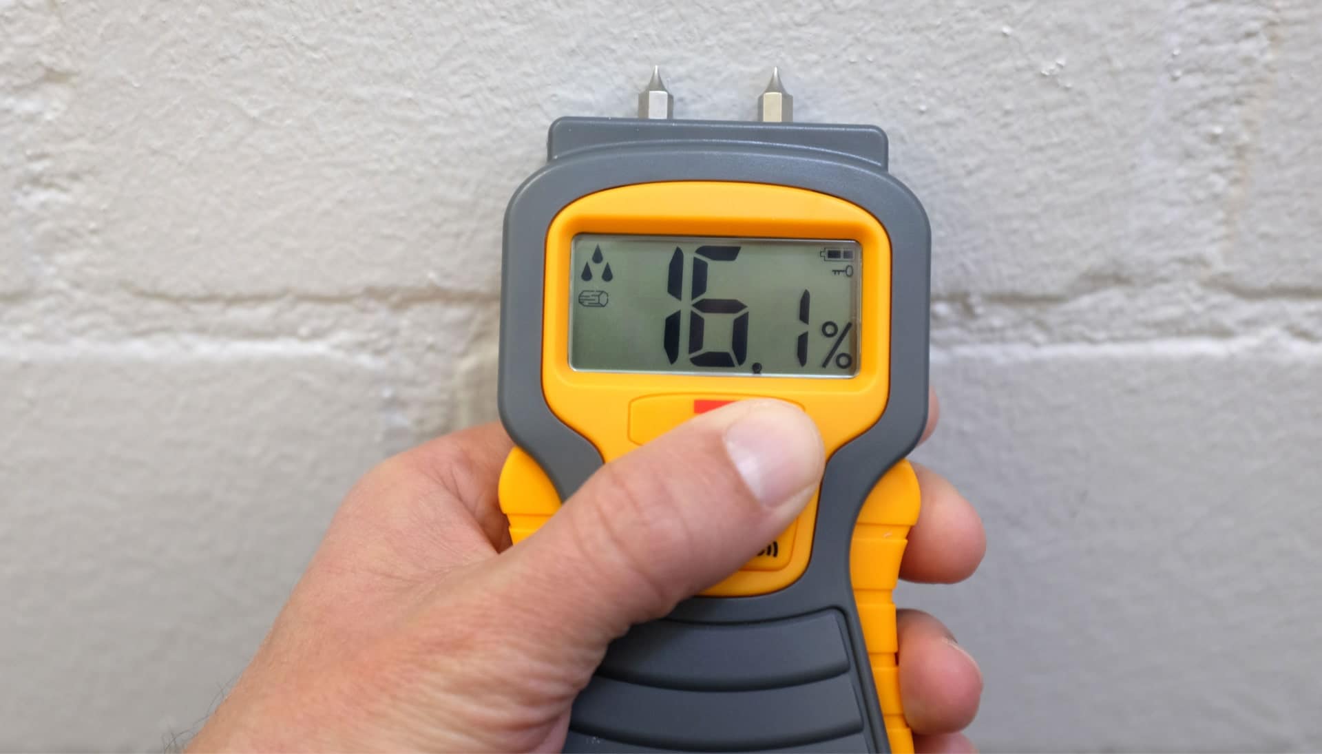 We provide fast, accurate, and affordable mold testing services in Lexington, Kentucky.